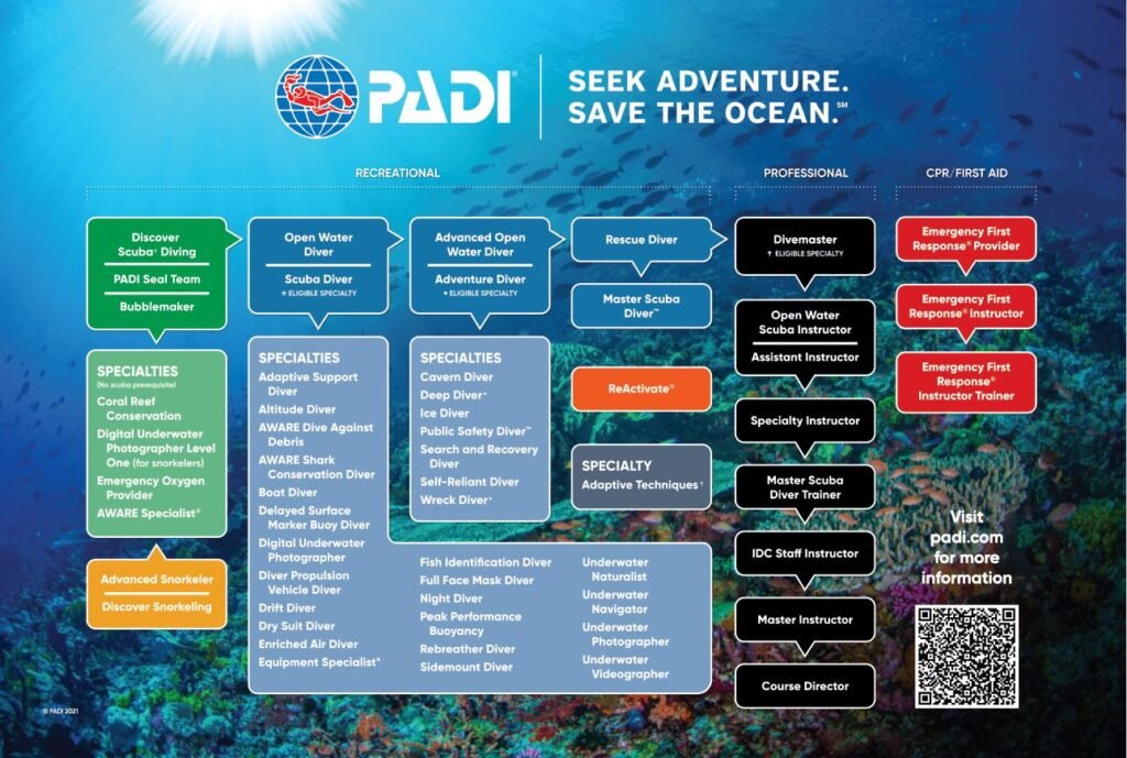 DETAILED EXPLANATION OF EACH PROFESSIONAL LEVEL IN PADI(From Lowest to Highest) – Rumblefish ...